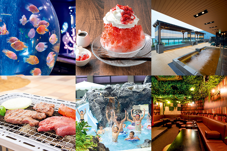 商品イメージ①