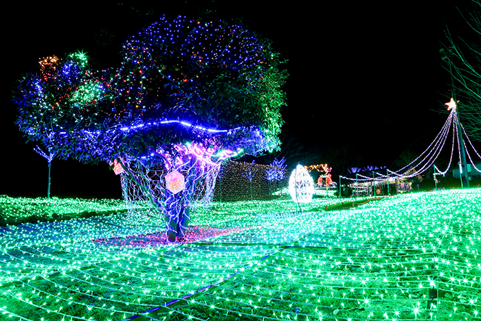 商品イメージ③